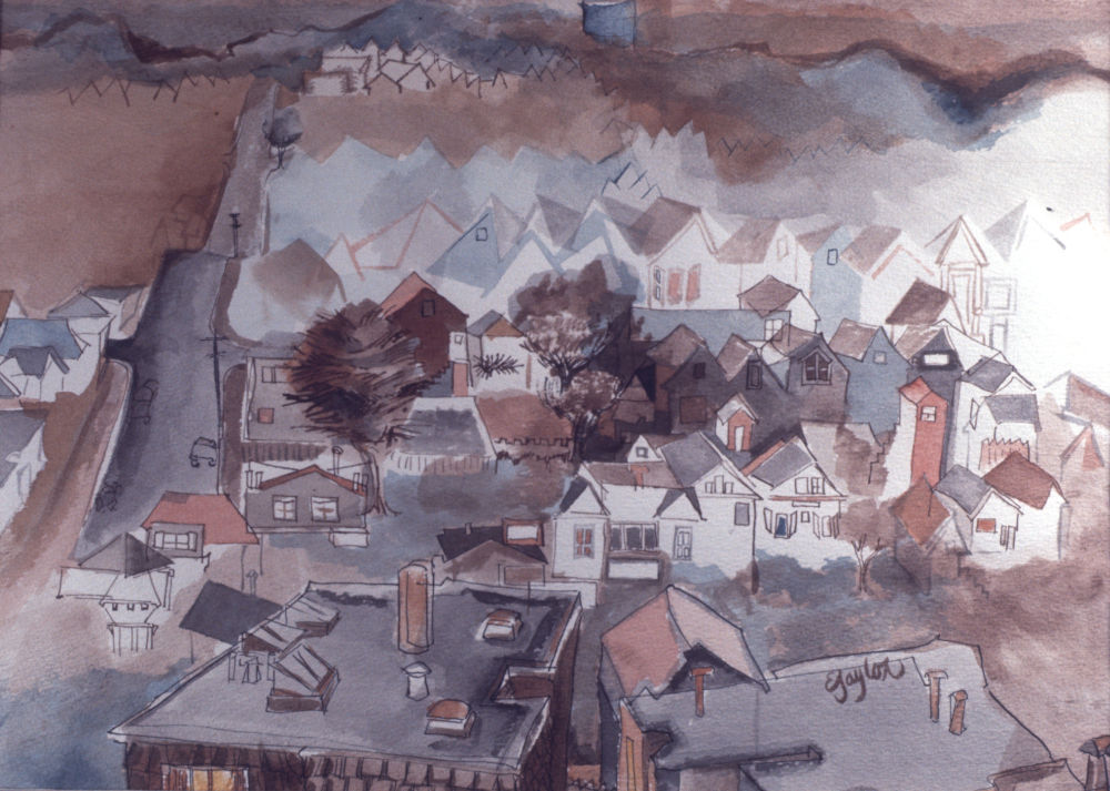 Overview Of The City 1969